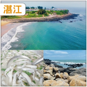鮮美湛江-中國第一大火山島 湛江八景 之首【硇洲島旅遊區】美食純玩3天團
