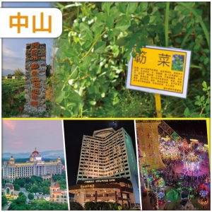  中山 解百毒 之稱 勒菜 五星級中山國際酒店 恆大國際溫泉酒店 打卡【開平不夜城】美食純玩3天