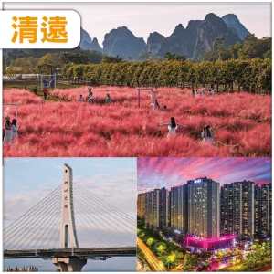 清遠 打卡浪漫粉黛亂子草+醉蝶花 小洱海 南岸公園、邂逅洲心網紅橋-品清遠蔥油雞+九龍豆腐 純玩2天