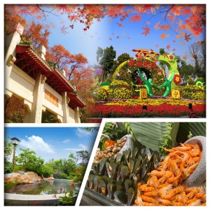 中山小欖菊展盛會 新會圭峰山紅葉 台山正宗奄仔蟹 任浸咸淡雙溫泉&天際星空溫泉純玩3天