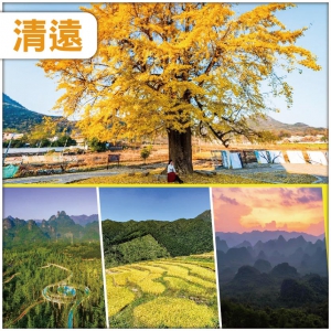 連州 金色童話 羅漢千年銀杏 秋逸黃金黑山梯田 連住兩晚鬧市區酒店 美食純玩3天