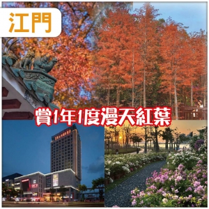 江門  入住維也納國際酒店/同級《全程六餐》賞一年一度漫天紅葉《圭峰山森林公園》抵玩2天