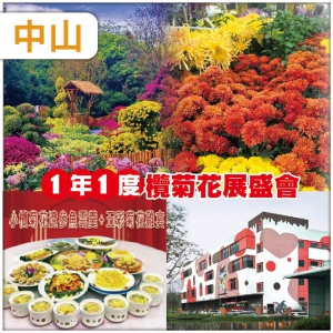 中山   賞1年1度小欖菊花展盛會  位上小欖菊花遼參魚雲羹+五彩菊花雞宴 超值2天