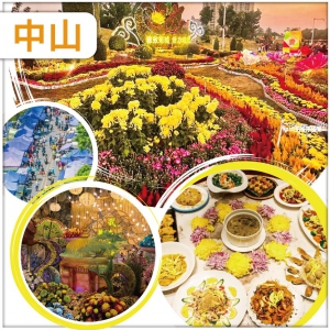 順德+中山 一年一度 中國菊藝之鄉 小欖菊展31週年盛會 品菊花盛宴 純玩2天