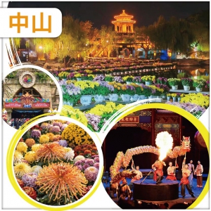 佛山+中山 一年一度 小欖菊展31週年盛會 品菊花盛宴 必看【廣東千古情】大型實景SHOW 纯玩2天