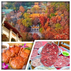 新會圭峰山玉台寺賞紅葉 1人1隻金秋大閘蟹+紅燜東山羊、任食鮮切牛肉自助火鍋純玩2天