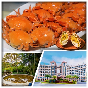 B線-1人1隻台山正宗奄仔蟹 新會天際溫泉酒店2天