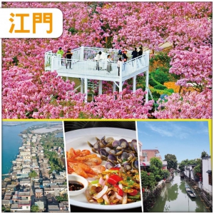 聖誕不加價  江門 季節限定：賞1年1度紫花風鈴 品石板沙三寶：黃沙蜆、黃魚籽、河蝦 純玩2天