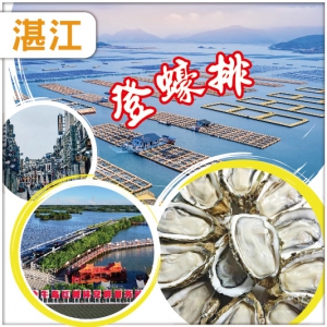 湛江 蠔鮮美-登蠔排任食自摘湛江生蠔 中國紅橙之鄉 廉江 老野粥檔金牌泥丁粥+芝士焗生蠔宴 純玩3天