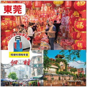 【辦年貨】東莞：購物天堂：細村批發市場 人手送一臺手拉車，唔使拎得咁辛苦 純玩2天