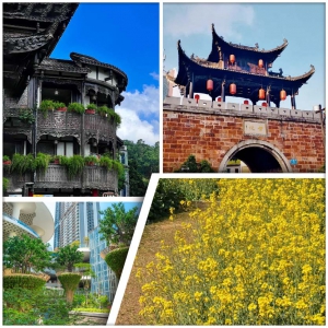 【Easy Go，10人保證成團】都市繁華處，別有桃花源 甘坑古鎮+阪田萬科廣場 純玩2天