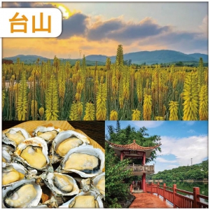復活節加班：江門 每圍臺100只正宗臺山生蠔  大陸唯一 觀賞蘆薈花海處 純玩2天