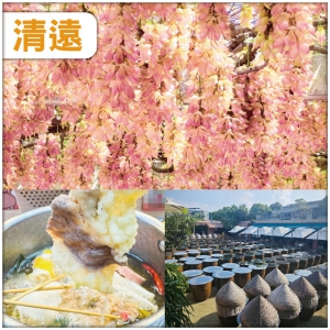 清遠  賞一年一度禾雀花 食1人1鍋任食火鍋宴 入住清遠君隆酒店/同級 抵玩2天