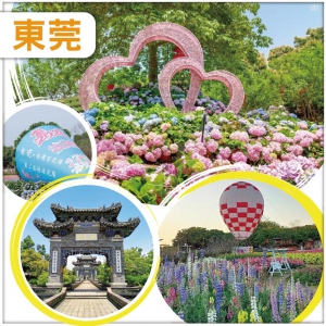 東莞 第二屆繡球花展 香遇百花園  百年老街 漫遊水鄉  入住東莞商務.波士酒店純玩2天