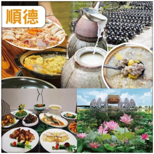 8人同行每位减免$10順德 試真D.臭屁醋火鍋 聞住臭，食得香 順德.希岸酒店 純玩2天