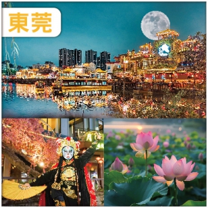 東莞 1年1度荷花盛景&夜遊廣東版 洪崖洞【西溪古村】邊食邊睇表演 抵玩2天