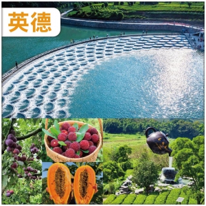 清遠 夏日清涼 英德雲水謠魚鱗壩 茶趣園品鑒紅茶 任摘任食時令水果 純玩2天