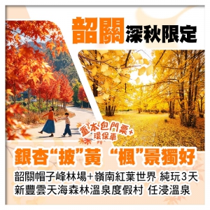 深秋限定 帽子峰銀杏林+嶺南紅葉世界楓葉 包門票+環保車 新豐雲天海森林溫泉度假村 純玩3天