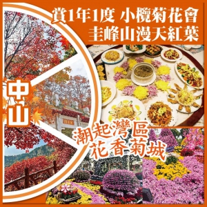 潮起灣區 花香菊城 賞一年一度 小欖菊花會 圭峰山漫天紅葉  純玩2天