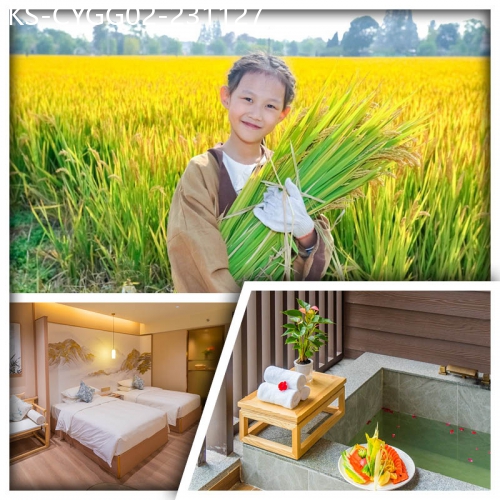 廣東旅遊線路|2023-11-27|2023年8月全新開業《佛崗藥王谷生態養生度假酒店》 保證入住帶獨立泡池客房  純玩2天