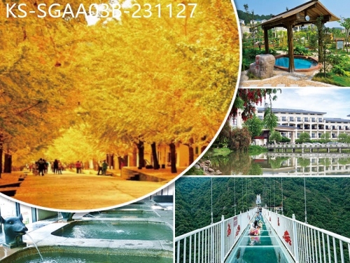 廣東旅遊線路|2023-11-27|（轉線用）黃金秋色-韶關帽子峰銀杏林 入住韶關乳源麗宮溫泉+韶關希爾頓歡朋酒店 純玩3天