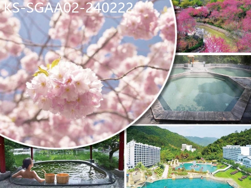 廣東旅遊線路|2024-02-22|韶關『櫻花峪』賞浪漫櫻花海 新豐雲天海溫泉度假村 任浸森林養生溫泉 純玩2天