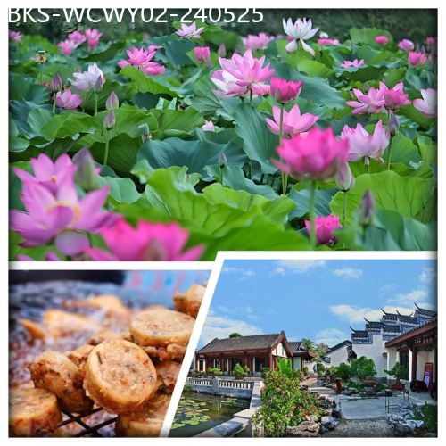 廣東旅遊線路|2024-05-25|（包團）食足6餐 惠州豐渚園 千年水東街 梅菜一條街 素文化養生自助餐 純玩2天