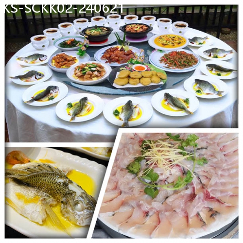 廣東旅遊線路|2024-06-21|鳳旨食魚 世界最好食的淡水魚『黃腳立』 必吃榜NO.1《青花瓷大盤魚 中山脆肉鯇》 美食純玩2天