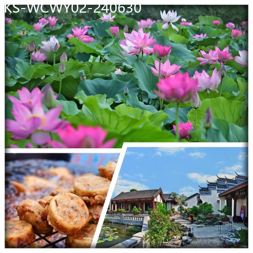 廣東旅遊線路|2024-06-30|食足6餐 惠州豐渚園 千年水東街 梅菜一條街 素文化養生自助餐 純玩2天