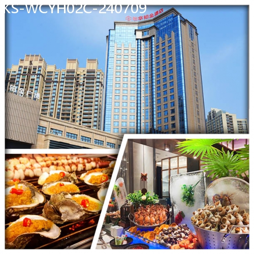 廣東旅遊線路|2024-07-09|惠陽裕華鉑金酒店（歎酒店海鮮自助餐） 純玩2天