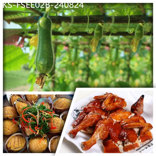 廣東旅遊線路|2024-08-24|B線-順德 民間私廚美食【家鄉至味水影瓜宴】 龍鳳呈祥土蠔宴  順德十鎮名菜宴 純玩美食2天