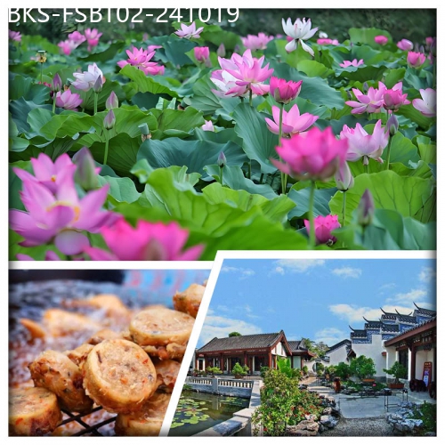 廣東旅遊線路|2024-10-19|(包團）遊嶺南瑰寶《佛山祖廟》《逢簡水鄉》 純玩2天