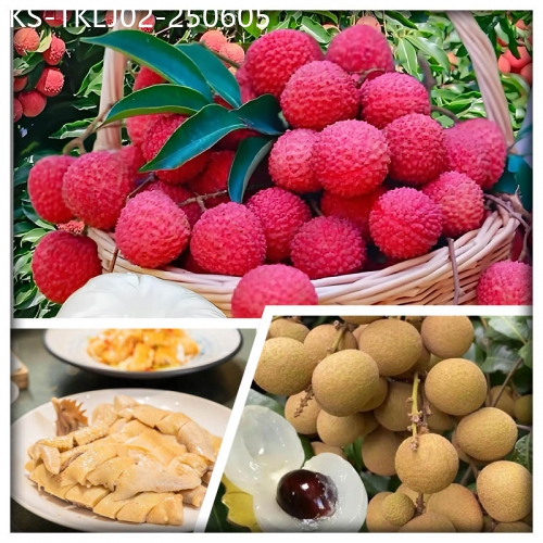 廣東旅遊線路|2025-06-05|東莞任摘任食荔枝純玩2天