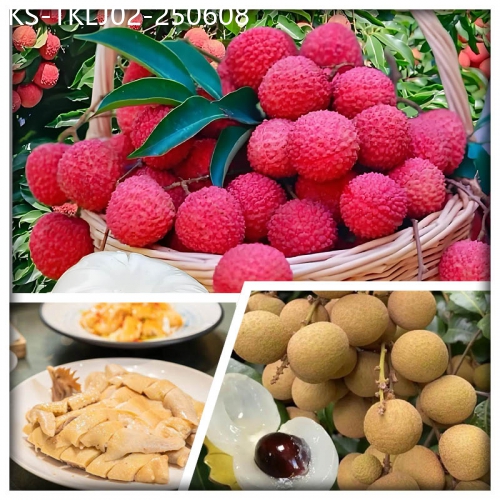 廣東旅遊線路|2025-06-08|東莞任摘任食荔枝純玩2天
