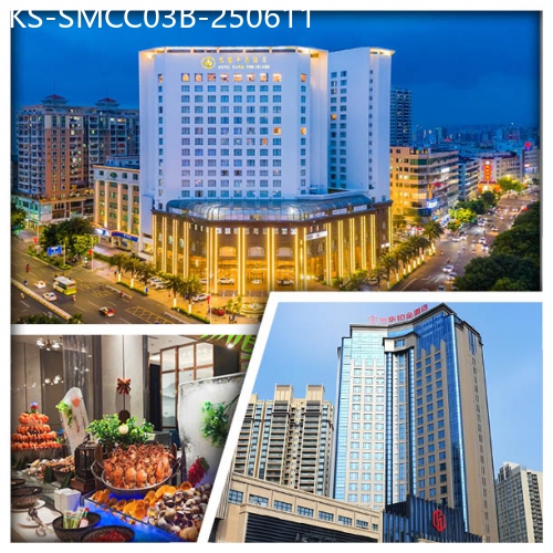 廣東旅遊線路|2025-06-11|B線-探訪汕尾港 打卡二馬路 汕尾巴黎半島酒店 惠陽裕華鉑金酒店（嘆酒店海鮮自助晚餐）純玩3天