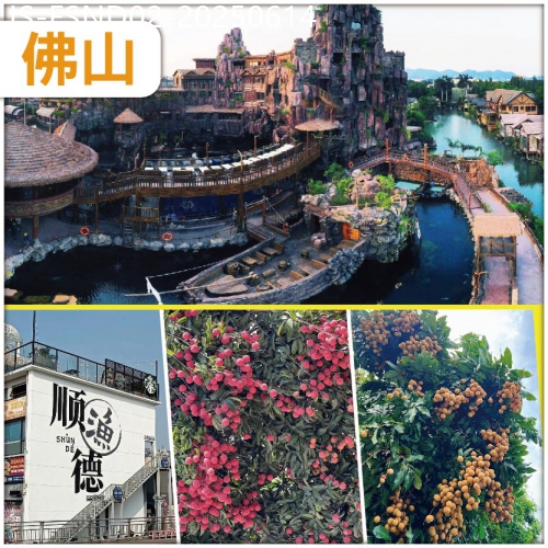廣東旅遊線路|2025-06-14|佛山 重本包入場長鹿旅遊休博園 四季果園任摘任食荔枝龍眼 夜遊人氣打卡地 容桂漁人碼頭 美食純玩2天