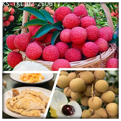 廣東旅遊線路|2025-06-17|東莞任摘任食荔枝純玩2天