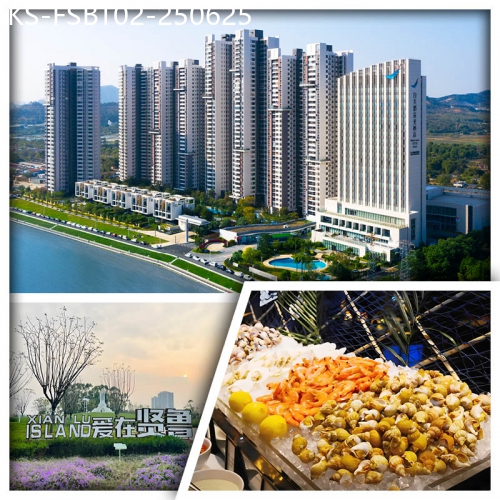 廣東旅遊線路|2025-06-25|佛山 白天鵝采奕酒店 酒店自助晚餐 純玩2天