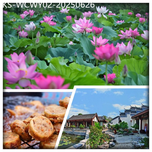 廣東旅遊線路|2025-06-26|賞1年1度荷花仙子~惠州豐渚園 千年水東街 梅菜一條街 食足6餐 純玩2天