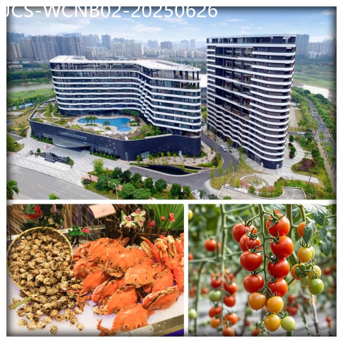 廣東旅遊線路|2025-06-26|單程直巴 惠東五星半島格蘭雲天國際酒店 酒店內環球海鮮自助晚餐 四季果園（任摘任食當季蔬果）純玩2天