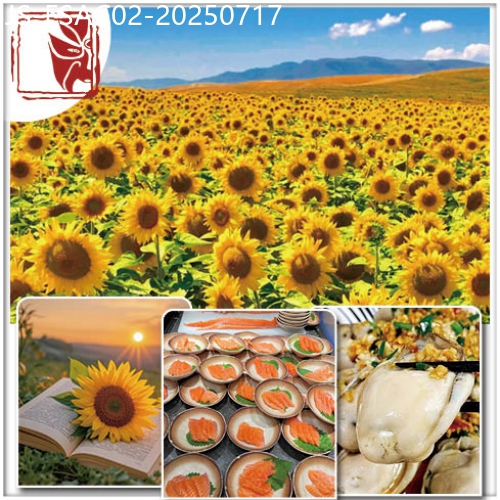 廣東旅遊線路|2025-07-17|佛山  追蹤CCTV-三餐四季，節目推介: 筍中貴族 吊絲丹筍 網評4鑽.瑞濤酒店純玩2天