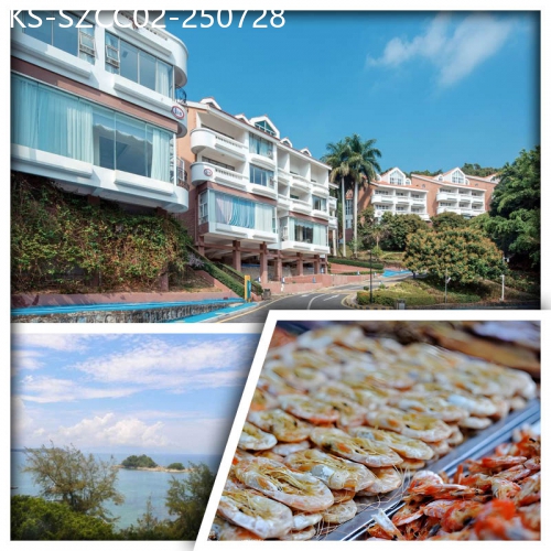 廣東旅遊線路|2025-07-28|(10人成團）深圳大鵬金沙度假酒店(別墅客房) 金沙灣沙灘、陽光沙灘、南澳海鮮海味街純玩天半團
