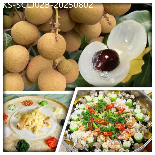 廣東旅遊線路|2025-08-02|中山任摘任食龍眼 風生水起撈雞+招牌陳皮燒鵝大盆魚宴美食2天
