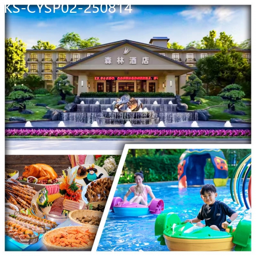 廣東旅遊線路|2025-08-14|全新裝修-清遠森波拉森林酒店 暢玩冰川水世界 任浸火山溫泉 歎酒店自助晚餐純玩2天
