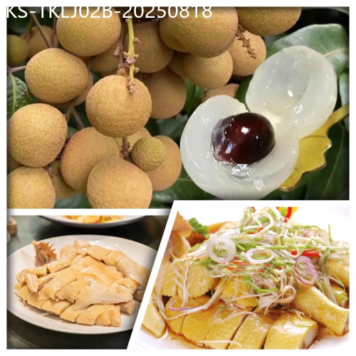 廣東旅遊線路|2025-08-18|東莞任摘任食龍眼純玩2天