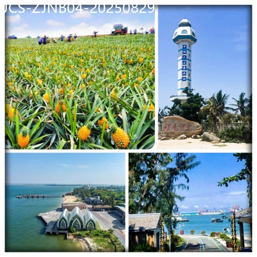 廣東旅遊線路|2025-08-29|湛江-玩轉粵西-吃遍粵西 鮮美湛江 徐聞菠蘿節 美食 沙灘 純玩4天