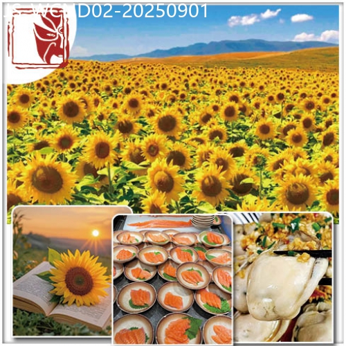 廣東旅遊線路|2025-09-01|【夜繽紛】中午出發 惠州 彩色夢幻打卡-33號網紅青年街【惠州金緣國際酒店】歎海鮮自助晚餐 純玩2天