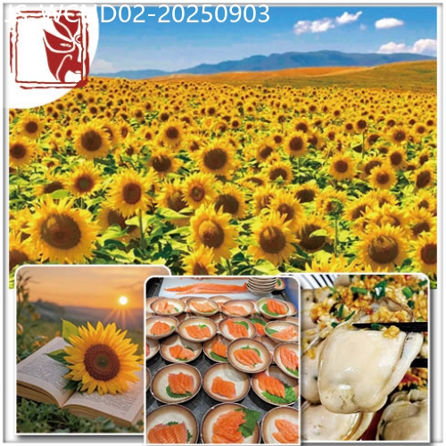 廣東旅遊線路|2025-09-03|【夜繽紛】中午出發 惠州 彩色夢幻打卡-33號網紅青年街【惠州金緣國際酒店】歎海鮮自助晚餐 純玩2天