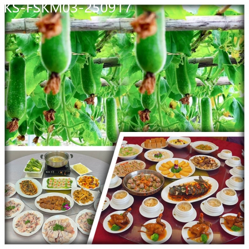 廣東旅遊線路|2025-09-17|家鄉至味水影瓜 仙鶴神針位上鴿吞翅 任食金獎脆鯇火鍋宴 尋味中山江門美食 超值抵玩3天