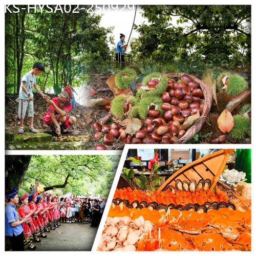 廣東旅遊線路|2025-09-29|畲族板栗節（親身體驗-打板栗）體驗畲族風情SHOW 河源萬綠湖美思威爾頓酒店 任浸湯泉純玩2天